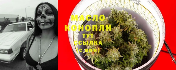 крисы Ельня