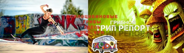 эйфоретик Дмитровск